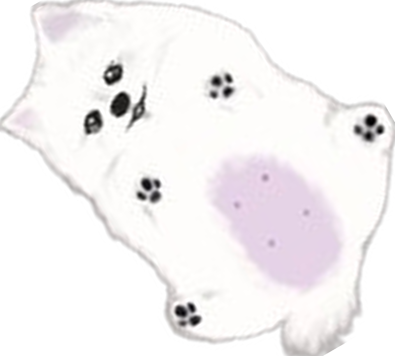 복실이
